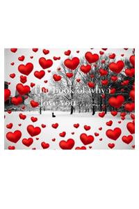 Valentine's winter wonderland red hearts creative blank book why I love you