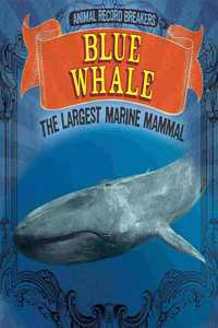 Blue Whale: The Largest Marine Mammal