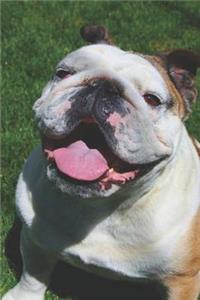 Bulldog Notebook