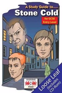 Study Guide to Stone Cold for GCSE