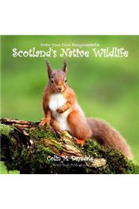 Draw Your Own Encyclopaedia Scotland's Native Wildlife