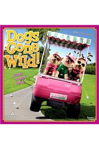 Avanti Dogs Gone Wild 2020 Square