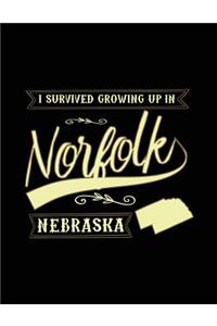 I Survived Growing Up In Norfolk Nebraska