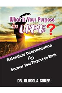 What is Your Purpose In Life?