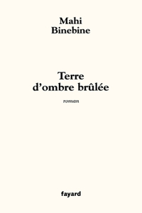 Terre d'ombre brûlée