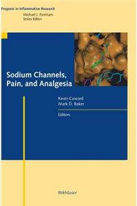 Sodium Channels, Pain, and Analgesia