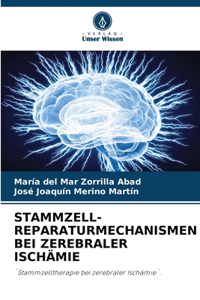 Stammzell-Reparaturmechanismen Bei Zerebraler Ischämie