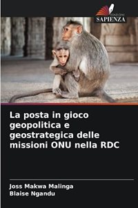 posta in gioco geopolitica e geostrategica delle missioni ONU nella RDC