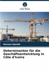 Determinanten für die Geschäftsentwicklung in Côte d'Ivoire