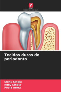 Tecidos duros do periodonto