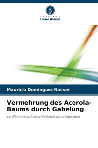 Vermehrung des Acerola-Baums durch Gabelung