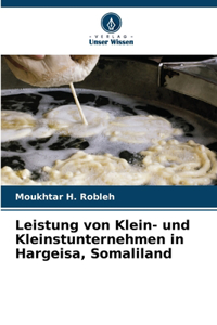 Leistung von Klein- und Kleinstunternehmen in Hargeisa, Somaliland