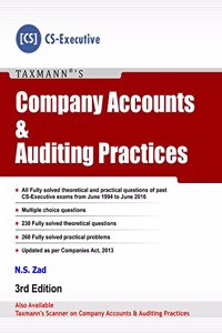 Company Accounts And Auditing Practices
