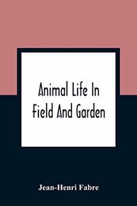 Animal Life In Field And Garden