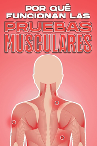 Por Qué Funcionan Las Pruebas Musculares