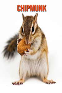 Chipmunk
