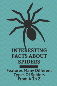 Interesting Facts About Spiders