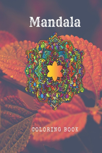 Mandala Coloring Book