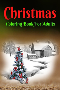 Christmas Coloring Book For Adults