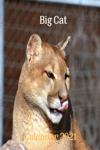Big Cat Calendar 2021