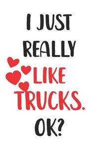 I Just Really Like Trucks, Ok? Gift For Men, Women, Kids, Cute Notebook a Beautiful