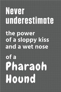 Never underestimate the power of a sloppy kiss and a wet nose of a Pharaoh Hound