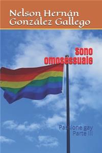 Sono omosessuale