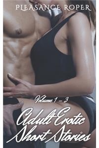 Adult Erotic Short Stories