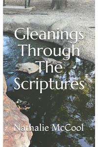 Gleanings Through The Scriptures