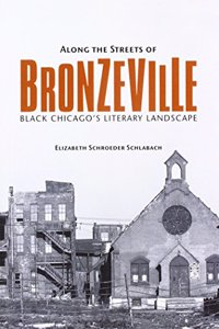 Along the Streets of Bronzeville