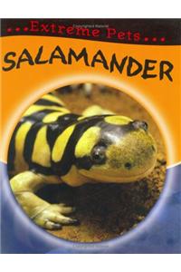 Salamander