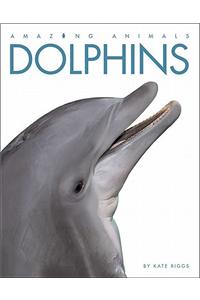 Amazing Animals: Dolphins