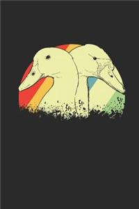 Ducks Retro