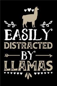 Easily Distracted by Llamas