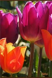 Tulips: Spring flowers on the cover of a 6 x 9 inch writing journal