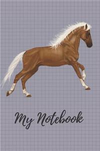 My Notebook