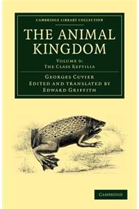 Animal Kingdom - Volume 9