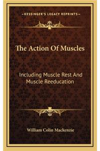 The Action of Muscles