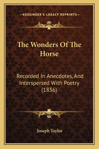 Wonders Of The Horse