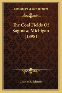 The Coal Fields Of Saginaw, Michigan (1898)