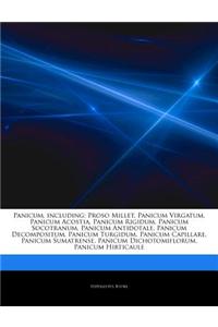 Articles on Panicum, Including: Proso Millet, Panicum Virgatum, Panicum Acostia, Panicum Rigidum, Panicum Socotranum, Panicum Antidotale, Panicum Deco