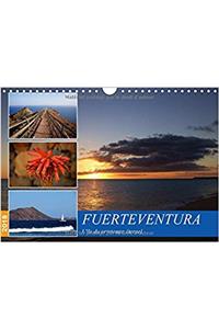 Fuerteventura, L'ile Du Printemps Eternel 2018