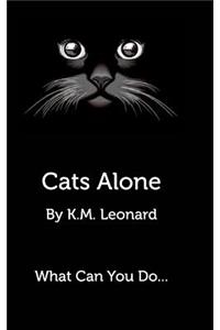 Cats Alone