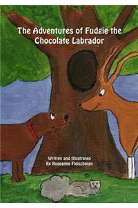 Adventures of Fudgie the Chocolate Labrador