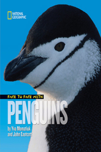 Face to Face with Penguins