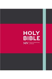 NIV Journalling Charcoal Cloth Bible