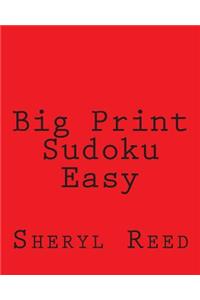 Big Print Sudoku Easy