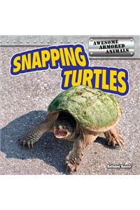 Snapping Turtles