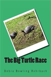 Big Turtle Race