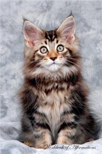 Maine Coon Kitten Workbook of Affirmations Maine Coon Kitten Workbook of Affirmations